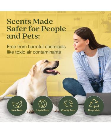 Enviroscent Non-Toxic Air Freshener - Lemon Leaf & Thyme Plug-In | 45+ Days of Home Fragrance | Refillable Essential Oil Set - Buy Online on SooperMarket.com
