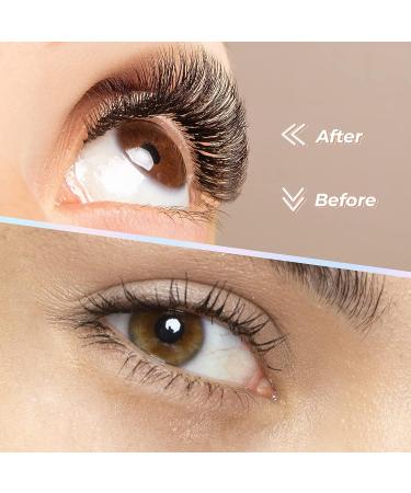 120 Clusters C Curl DIY Eyelash Extension Premade Volume Fans by MAEXUS | Individual Lashes - 0.07C 8mm-16mm MIX BP02BK20D_A - Buy Online on SooperMarket.com
