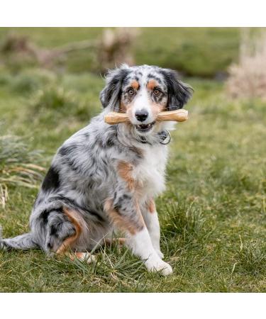Nobby Chewing Bone Pressed - 32cm 420g | Durable Dog Chew | International Shipping Available - Buy Online on SooperMarket.com