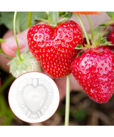 SUPVOX 15 Pcs Fruit Shaping Vegetables Growth Molds Vegetable Growing Molds Watermelon Heart-Shaped 4.5x4cmx3pcs Whitex3pcs - Buy Online on SooperMarket.com
