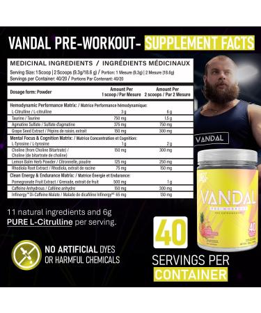 VNDL Pre Workout Powder for Men & Women- Enjoy a Clean Energy Boost with No Sugar Featuring L-Citrulline & L-Tyrosine for Improved Endurance- Nootropic Formula in Pink Paradise Flavor - 40 Servings - Buy Online on SooperMarket.com