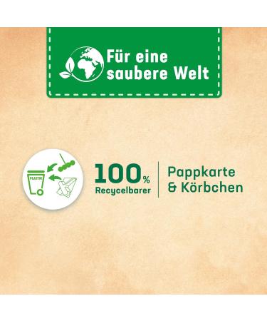 WC Frisch Kraft Active Pro Nature Mint & Eucalyptus Toilet Cleaner - 10 Pack | 95% Biodegradable Fragrance Stones for Long-Lasting Freshness | International Shipping Available - Buy Online on SooperMarket.com