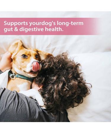 Premium Dog Probiotics 5BIL CFUs | 12 Strains Good Bacteria for Gut & Skin Health | Immune Support & Itch Relief | Salmon Flavored Chews for All Breeds & Ages - Buy Online on SooperMarket.com