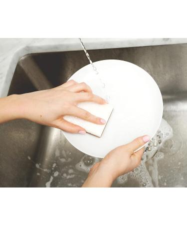 Full Circle Walnut Shell Non-Scratch Scrubber Sponge - Pack of 3 - Buy Online on SooperMarket.com