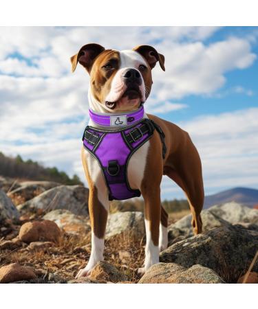 Joytale Softly Padded Neoprene Dog Collar for Large Dogs - Reflective Nylon Purple - 1 Pack - Buy Online on SooperMarket.com