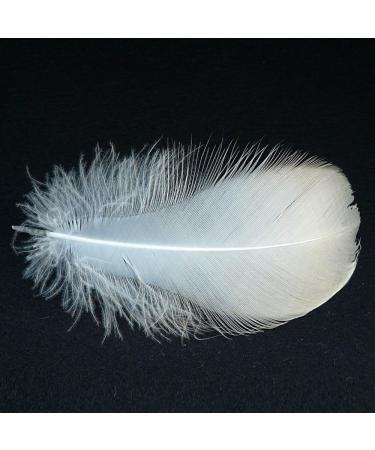 HaiMay 450 White Feathers for Craft Wedding & Party Decor 3-5 inches - Home Decorations - Buy Online on SooperMarket.com