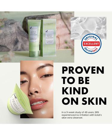 Tea Tree & Aloe Vera Gentle Face Cleanser for Normal to Oily Skin - Deep Cleansing & Hydrating Formula - Buy Online on SooperMarket.com