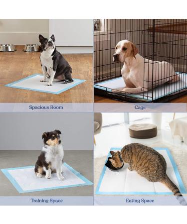 BACTIM Puppy Pads Pack of 50 Super Absorbent Disposable Dog and Puppy Training Pads (60 x 45cm) Multi Layered Leakproof Odour Locking Toilet Trainer Pee Mat for Small to Large Size Pet Incontinence - Buy Online on SooperMarket.com