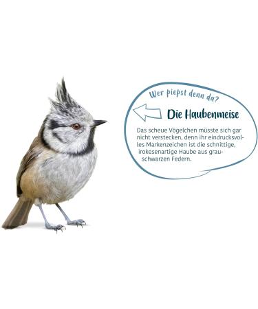 Elles Meisenkn del 6-Pack 100% Natural Energy-Rich Wild Bird Food | Nut-Free & Eco-Friendly Beak-Friendly Treats - Buy Online on SooperMarket.com