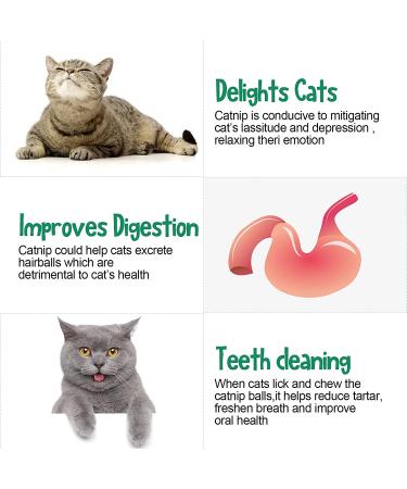 6-Piece Silvervine Catnip Wall Balls - Edible, Rotatable, and Safe Cat Treat Toys with 3 Flavors for Teeth Cleaning and Biting - Buy Online on SooperMarket.com