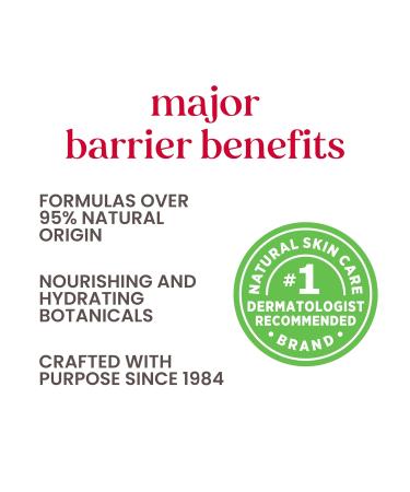 Burt s Bees Moonlight Orchard Lip Sleeping Mask - Hydrating Overnight Lip Treatment & Stocking Stuffer Gift | Hyaluronic Acid & Squalane - 0.45 oz - Buy Online on SooperMarket.com