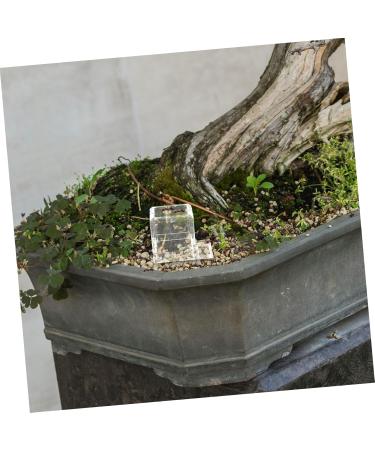 Kisangel 2pcs Pet Water Feeder Insect Feeder Transparent Ants Feeding Cup Insect Water Feeder Plastic - Buy Online on SooperMarket.com