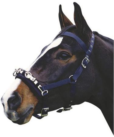 Kincade Coordinate Longe Cavesson (Full) (Black) - Buy Online on SooperMarket.com