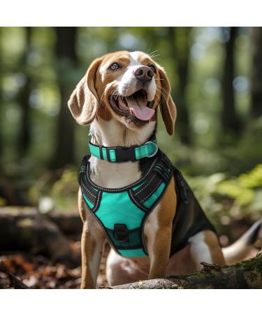 Joytale Reflective Dog Collar for Small Dogs - Turquoise S Pack of 1 | International Shipping - Buy Online on SooperMarket.com