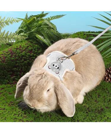 Shop Lumenty Adjustable Leash & Harness for Rabbits - 1.20m Breathable West Design for Small Pets | Ideal for Dwarf Rabbits & Cats - Buy Online on SooperMarket.com