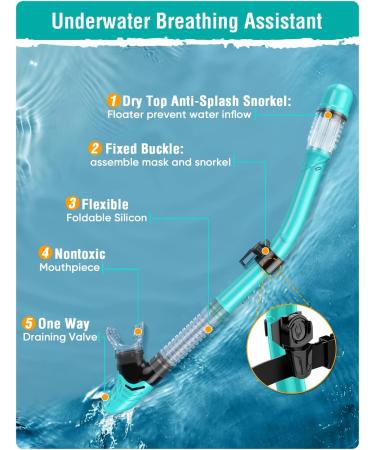 Seovediary Snorkel Set for Adults | Anti-Fog Panoramic Swim Mask & Dry Top Snorkel Kit | Green & Transparent | Perfect for Snorkeling & Scuba Diving - Buy Online on SooperMarket.com