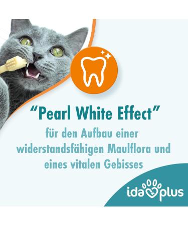 Ida Plus Dental Care Mini Sticks for Cats - Anti-Plaque Treats Freshens Breath Cleans Teeth - 80 Delicious Pieces - Buy Online on SooperMarket.com