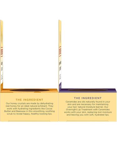 Burt's Bees Lip Balm & Lip Treatment Set - Overnight Intensive Care & Conditioning Scrub - 0.50 oz (Pack of 1) - Buy Online on SooperMarket.com