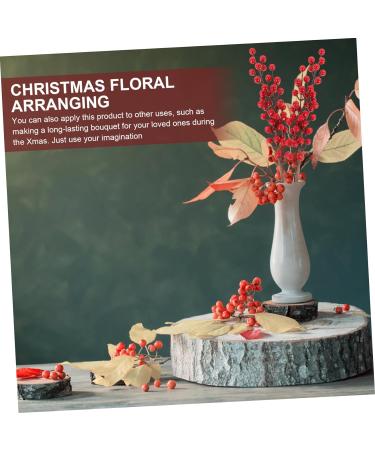 HOMSFOU 8 Pcs Christmas Red Fruit Christmas Wreath Stems Berries for Christmas Tree Photography Props Christmas Tree Berry Decoration Floral Red Berry Acacia Beans Foam High Simulation Redx2pcs 50X6cmx2pcs - Buy Online on SooperMarket.com