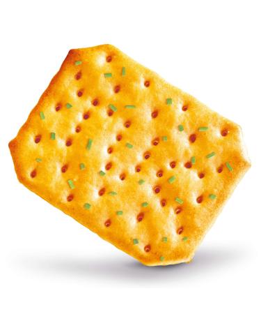 Tuc Sour Cream & Onion Crackers 100g | Salzbeking Snack Biscuits | Crunchy Sour Cream & Onion Flavor | International Shipping Available - Buy Online on SooperMarket.com
