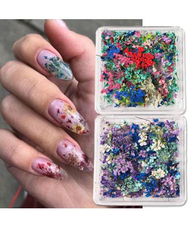 Buy 4Box 3D Dried Flowers Nail Art Stickers - Colorful DIY Mini Flower Petals for Nail Design - Natural Floral Decals for Manicure & Craft Accessories - Buy Online on SooperMarket.com