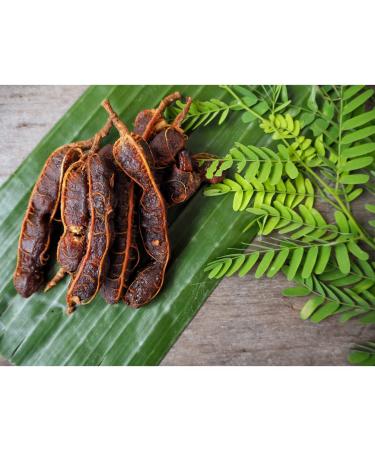 Buy Fresh Tamarinds - 100% Sweet & Sour Dates from Thailand (200g) | International Shipping Available - Buy Online on SooperMarket.com