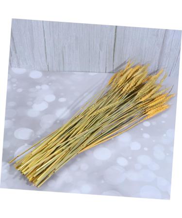 MAGICLULU 1 Decor Natural Wheat Rural Wheat Dried Wheat Simulation Wheat Dried Flowers Bouquet - Buy Online on SooperMarket.com