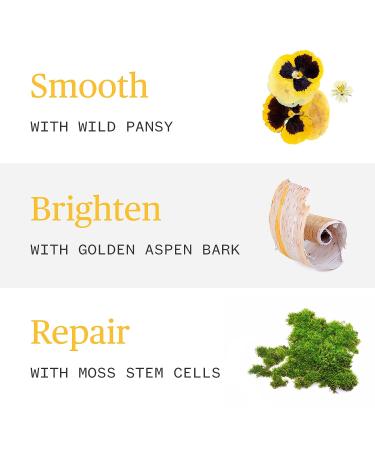 Ursa Major Mountain Glow Natural Face Serum - Vegan Daily Moisturizing Serum for Youthful Skin | Combat Wrinkles & Boost Radiance | 1.0 oz - Buy Online on SooperMarket.com