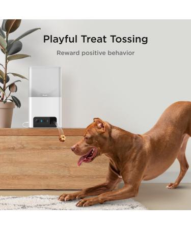 Petcube Bites 2 Lite - Interactive WiFi Pet Camera & Treat Dispenser with Sound Alerts - Buy Online on SooperMarket.com