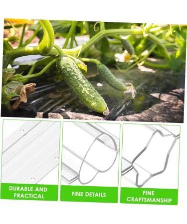 Gogogmee 4pcs Garden Cucumber Star Candy Shaped Growth and Plangting Vegetables Rigid Growing Vessel - Buy Online on SooperMarket.com
