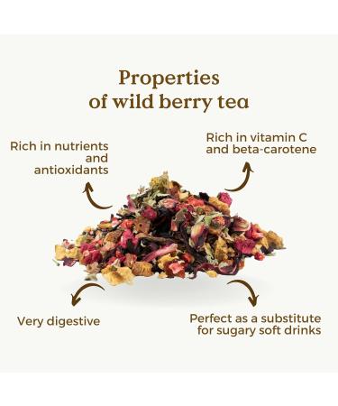 Red Berry Tea Loose Organic 100g (50 Cups) | Caffeine Free Fruit Loose Leaf Tea with Hibiscus Cherry Raspberry Strawberry REPLANTEA - Buy Online on SooperMarket.com