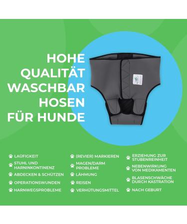 Sailing Trousers for Dogs 2.0 | High-Quality Neoprene Male Diapers - XS Gray - Optimal Air Exchange - Buy Online on SooperMarket.com