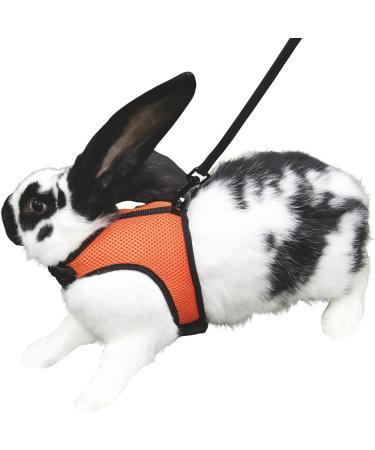 Kerbl Guinea Pig Harness with 120cm Flexible Leash - Adjustable 22-30cm / 14-18cm for Ultimate Comfort | Shop Internationally - Buy Online on SooperMarket.com