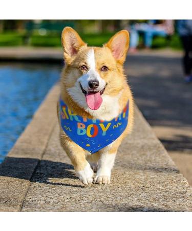 Blue Dog Birthday Boy Bandana for Small to Large Dogs - Puppy Party Scarf - Buy Online on SooperMarket.com
