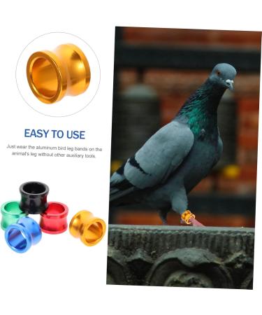 Angoily 40 Pcs Pigeon Foot Ring Where Kickstand Pigeon Foot Bands Pigeon Aluminum Leg Ring Metal Ring Birds 0.8X0.8X0.8CMx2pcs As Shownx2pcs - Buy Online on SooperMarket.com
