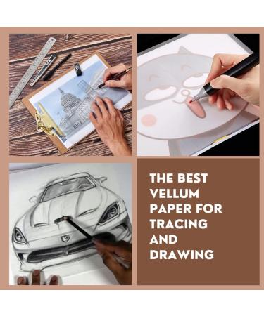 Paper Gator Vellum Paper  Pack of 55 Sheets 8.5 x 11 Inches Translucent Printable Sheets| 93 GSM Transparent Paper for Sketching |Tracing Paper for Art  Craft and Sewing.  Clear (PG-V) - Buy Online on SooperMarket.com