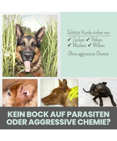 NOMS+ ZPOT-ON Dog Ticket | Annual Supply | Natural Active Ingredients & Saltidin | Protects Against Ticks Mites Fleas & Sand Mosquitoes - Shop Now! - Buy Online on SooperMarket.com