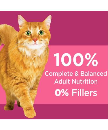 IAMS Proactive Health Healthy Adult Dry Cat Food with Chicken 3.18kg Bag & Proactive Health Dry Cat Food Adult - Urinary Tract Health - Chicken 3.18kg Bag 3.18 kg (Pack of 1) Dry Cat Food + Cat Food 3.18kg Bag - Buy Online on SooperMarket.com