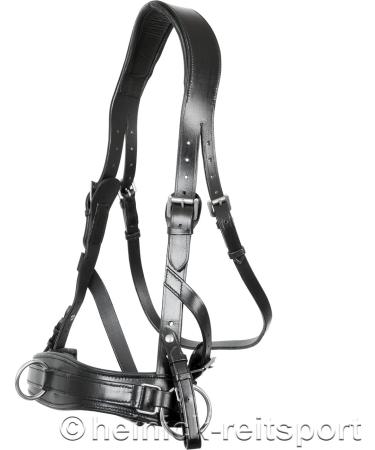 Heinick-Reitsport Professional Leather Cavesson with Bit Strap - ProLine Black for Warmblood/Thoroughbred | International Shipping Available - Buy Online on SooperMarket.com