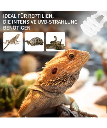 Buy Lucky Herp UVB Lamp for Reptiles - Compact 13W E27 UVB 10.0 Ideal for Turtles Chickens & Amphibians - International Shipping Available - Buy Online on SooperMarket.com