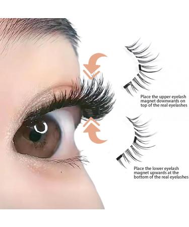 DASHIELL No Glue False Eyelashes | False Reusable Lashes - Natural Look False Lashes False Eyelashes Easy-to-Use Applicator Strong Magnets For Beginners - Buy Online on SooperMarket.com