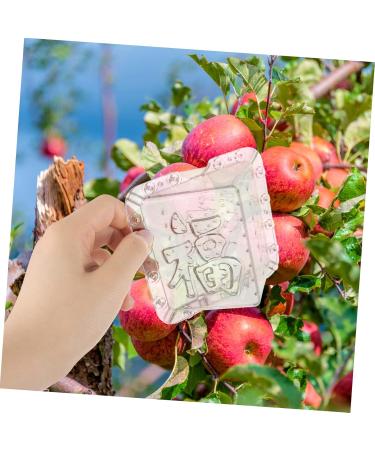 OFFSCH Apples Growth Mold 2pcs Square Apple Molds Fruit Growth Shaping Accessories Fruit Mold Fruit Shaper Melon Stereotypes - Buy Online on SooperMarket.com
