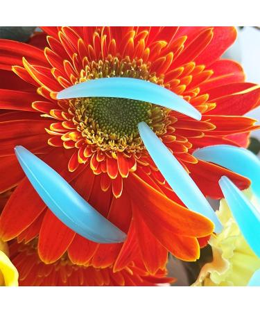 PERMANIA Reusable Lash Lifting Shield Pads Silicone Lash Shields for Bottom Lashes Reusable Lash Lifting Shield | Cruelty-Free | for a Lower Lash Lift and Lower Lash Tint Christmas Gifts - Blue - Buy Online on SooperMarket.com