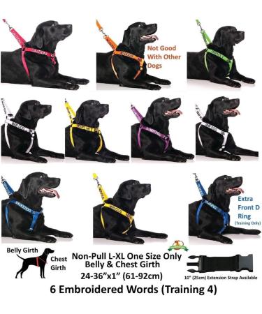 NERVOUS (Give Me Space) Yellow Colour Coded S M L Reflective Waterproof Fleece Lined Warm Dog Coats PREVENTS Accidents By Warning Others Of Your Dog In Advance (S) Small Coat - Buy Online on SooperMarket.com