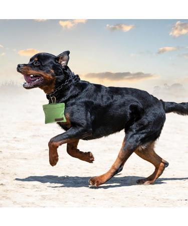 Jeffdad Dog Treats & Free-Handed Feed Bag for Training - Green Carabiner Closure | Perfect for Puppies - Buy Online on SooperMarket.com