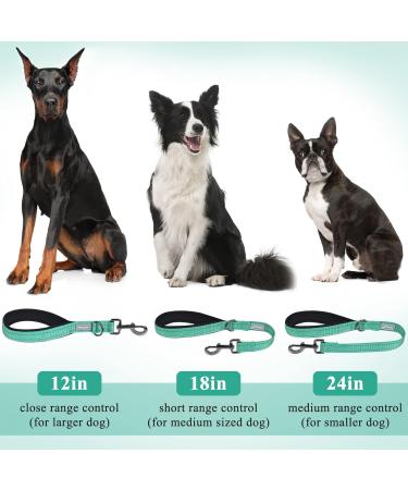 Vivaglory Short Dog Leash - 32cm Training Line for Medium & Large Dogs - Green Traffic Leash - Buy Online on SooperMarket.com