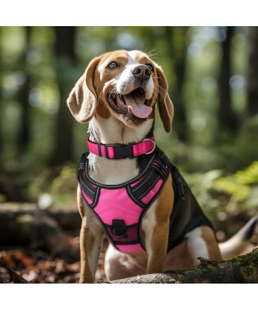 Joytale Reflective Dog Collar for Small Dogs - Hotpink S | Durable Stylish & Safe - Buy Online on SooperMarket.com