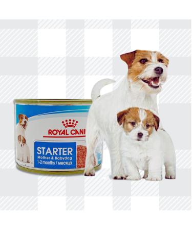 AETN Creations Starter Puppy Mousse Pack 6x195g Wet Tins Mother and Babydog plus AETN Jerky Dog Treat Balanced Nutrition for Young Puppies