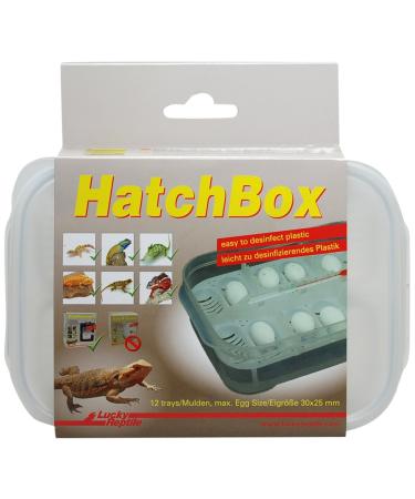 Lucky Reptile HB-01 HatchBox