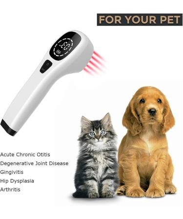 Handheld Physiotherapy Device Pain Relief Device Reverses Skin Aging Reduces Cellulite Accelerates Wound Healing and Symptoms of Pet Degenerative Arthritis Dysplasia Etc. - Buy Online on SooperMarket.com